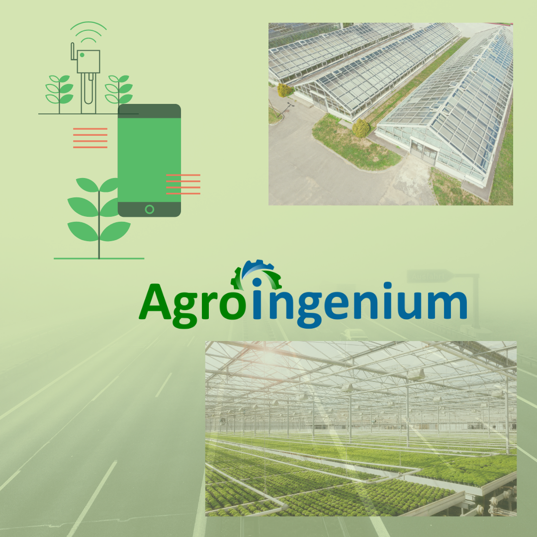 Agroingenium: Servicios de Tecnología en el Agro